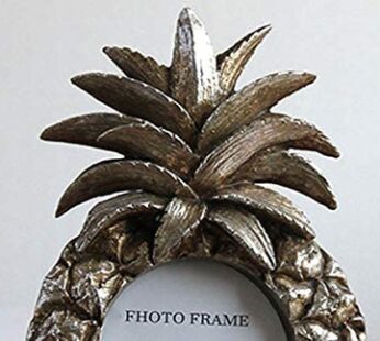 ZHAOLEI Handmade Vintage Pineapple Photo Frame 3/6/7Inch Resin Picture Frame Home Decoration Geometric Picture Frames Ornaments ( Size : D )