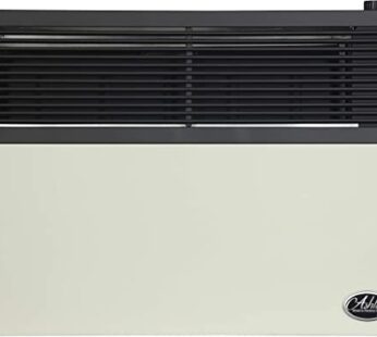 Ashley Hearth Products DVAG17N 17,000 BTU Direct Vent Natural Gas Heater, Cream