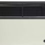 Ashley Hearth Products DVAG17N 17,000 BTU Direct Vent Natural Gas Heater, Cream